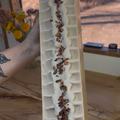 Coconut & Rose Soap Recipe