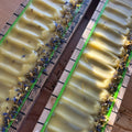 Mint Moon Soap Recipe