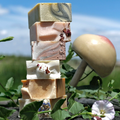 The Wild Bunch — 6 Mini Soap Sampler