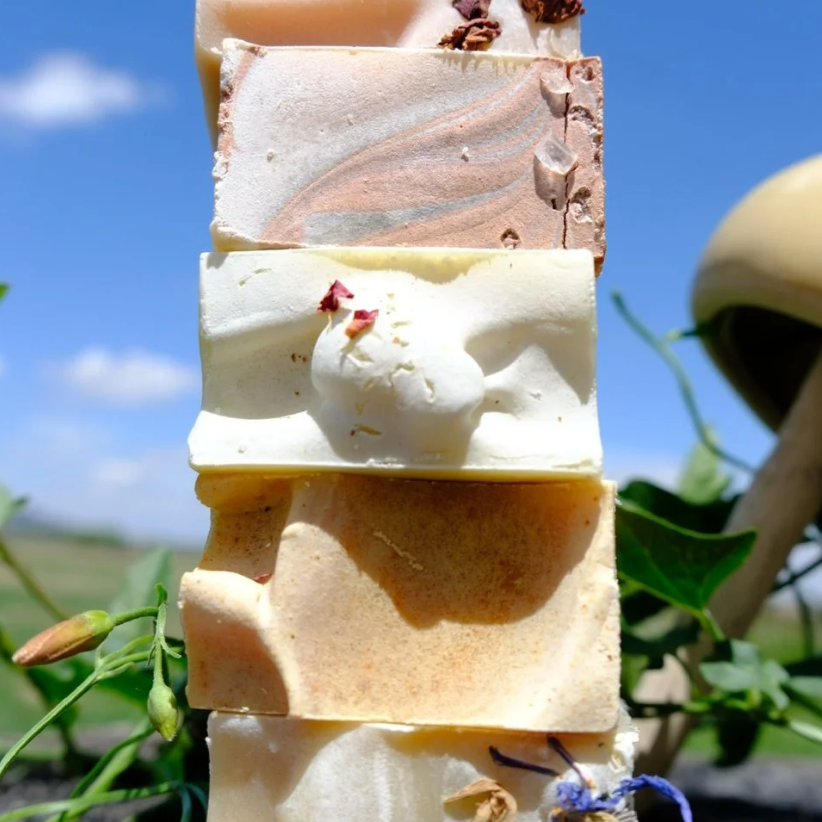 The Wild Bunch — 6 Mini Soap Sampler
