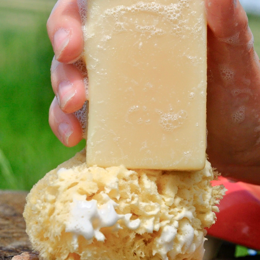 Body Sponge
