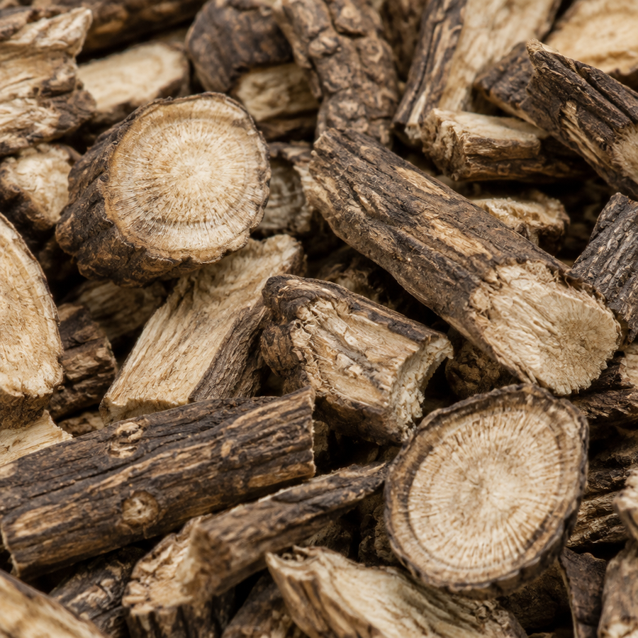 Burdock root close-up