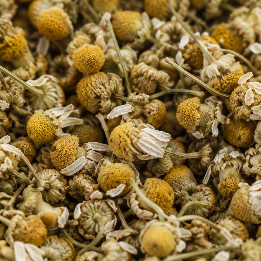 Chamomile close-up