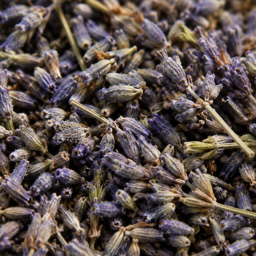 Dried lavender close-up