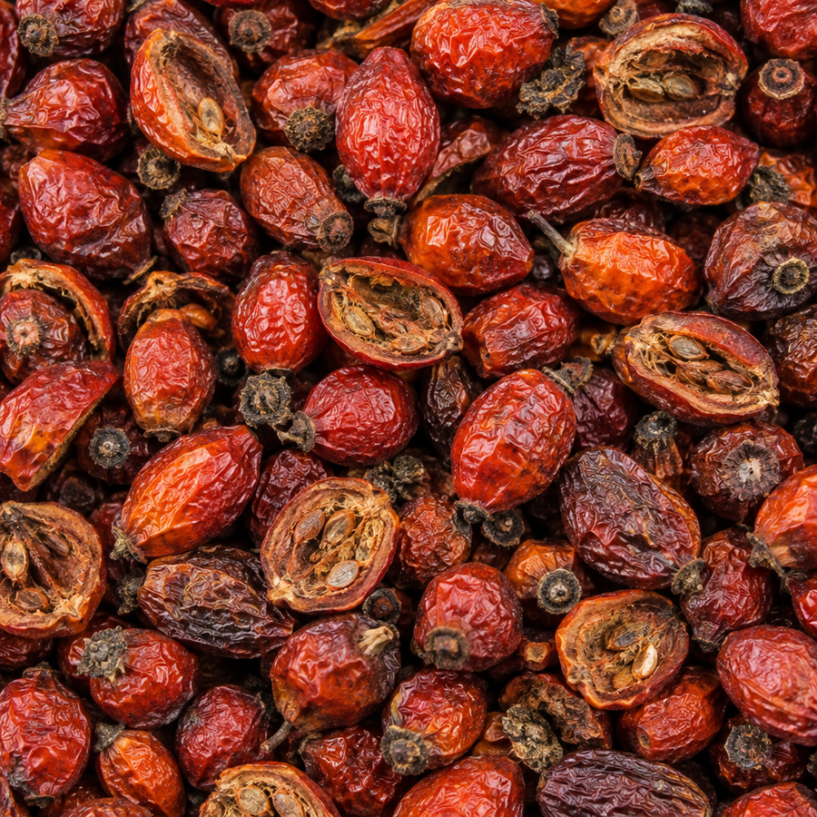 Dried rose hips close-up