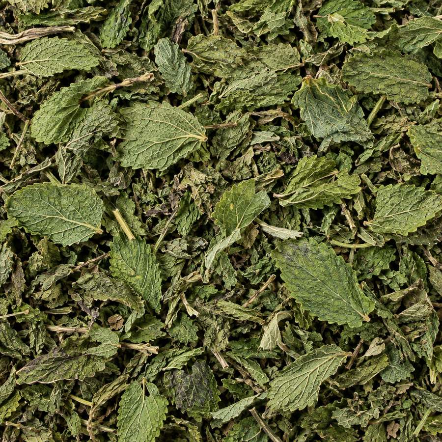 Lemon balm close-up