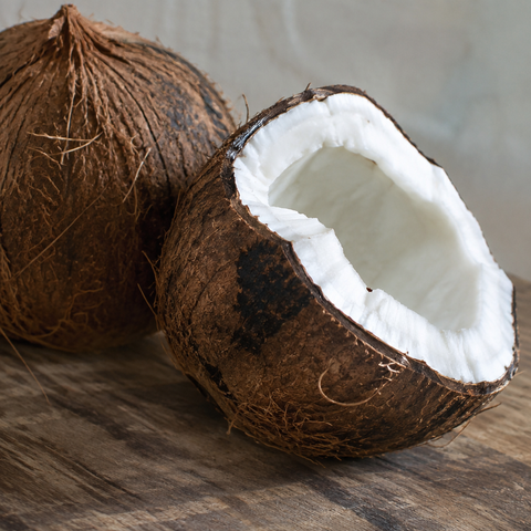 Natural realistic coconut close-up