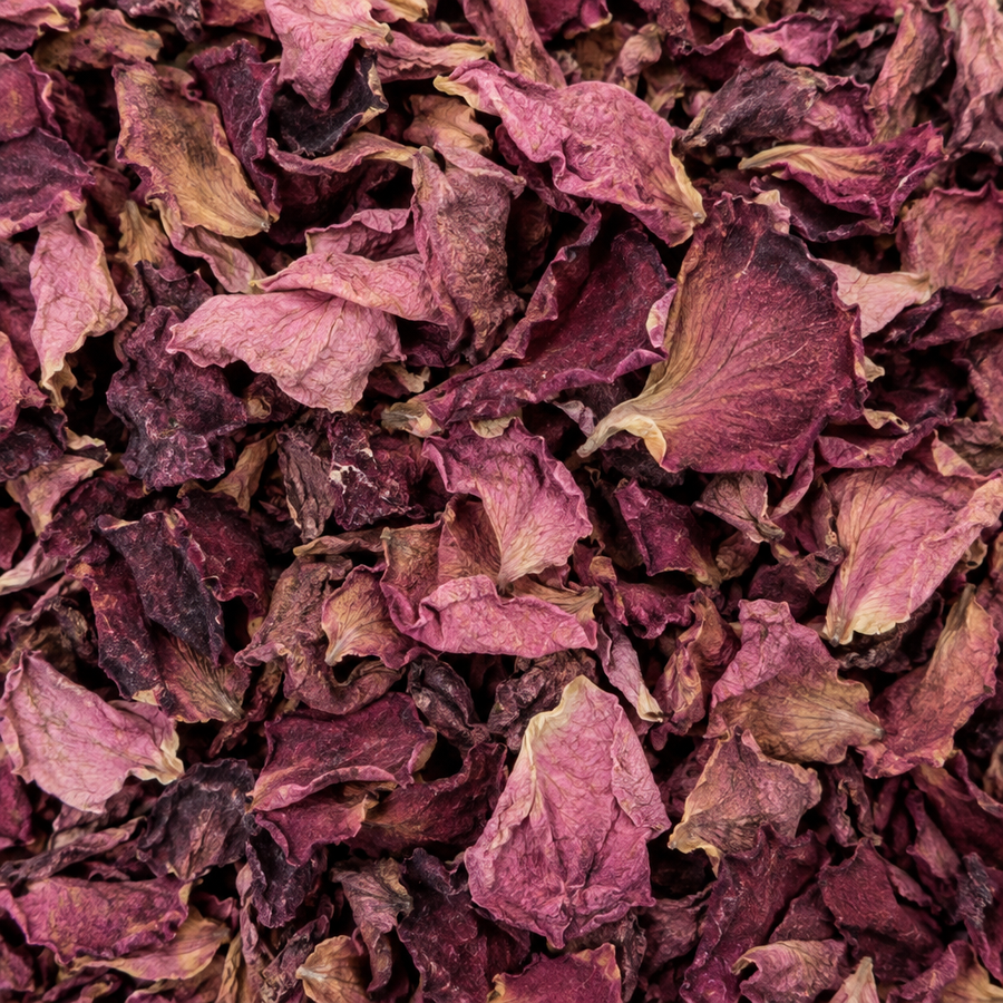 Rose petal close-up